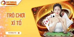 xì tố